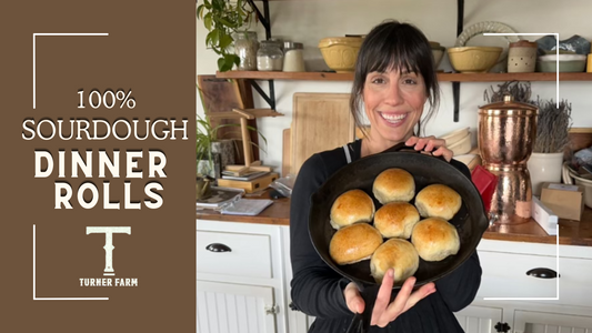 Homemade Sourdough Dinner Rolls