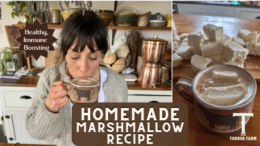 Healthy, Immune Boosting HOMEMADE Marshmallow Recipe