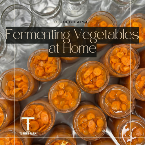 Fermenting Vegetables at Home