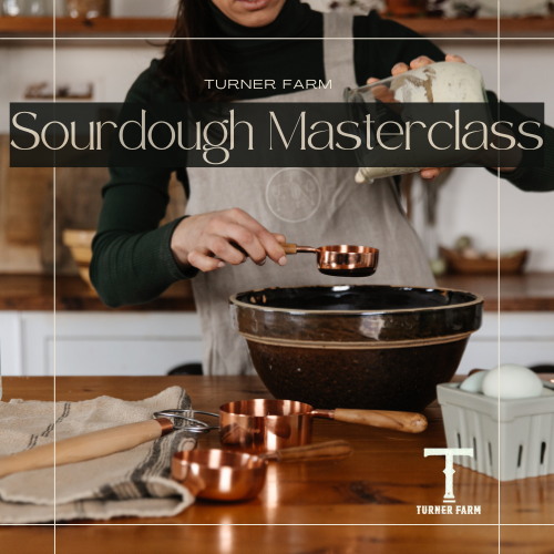 Sourdough Masterclass 2.0