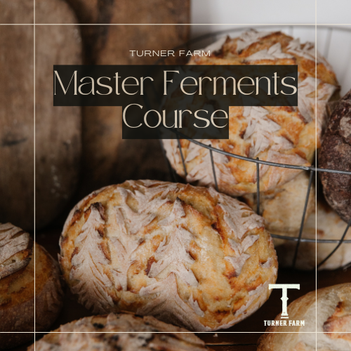 Master Ferments Course