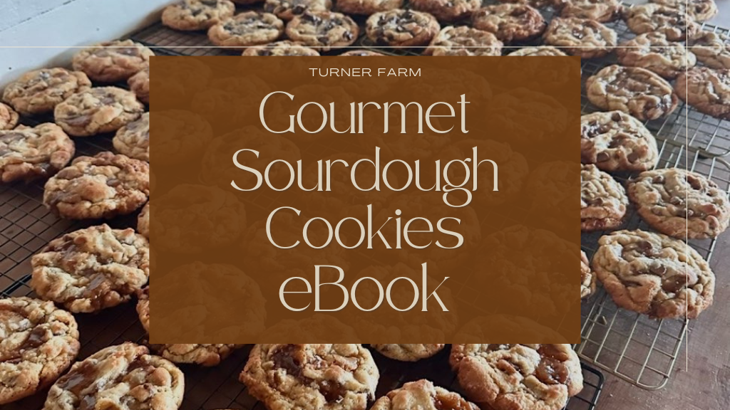 Gourmet Sourdough Cookies E-Book
