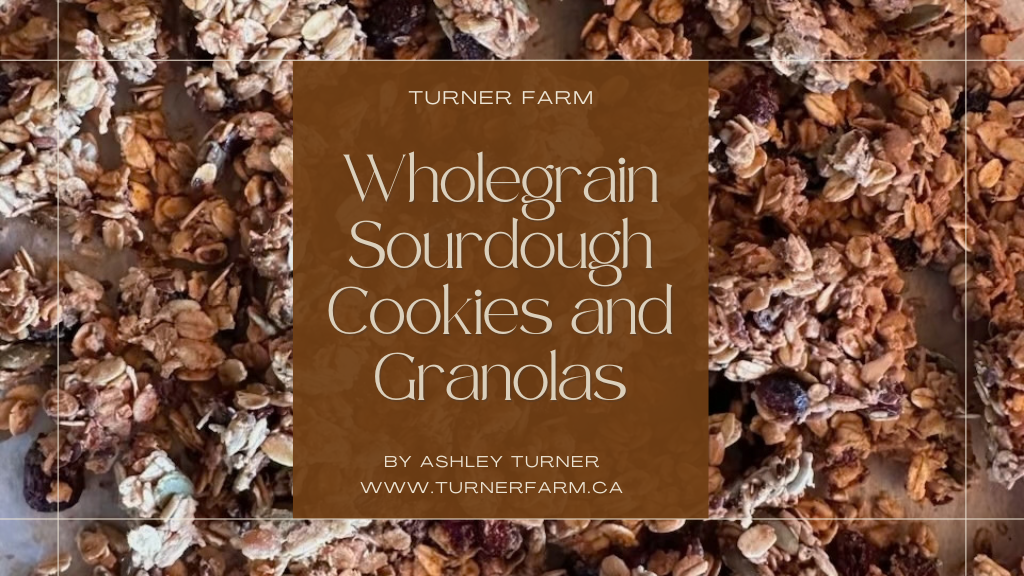 Wholegrain Sourdough Cookies and Granolas
