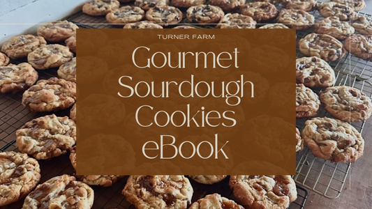 Gourmet Sourdough Cookies E-Book
